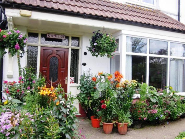 Beechlands B & B Sleights Exterior foto